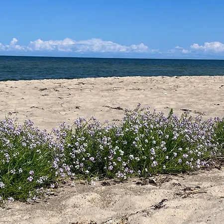 Nya Matsas Noarootsi