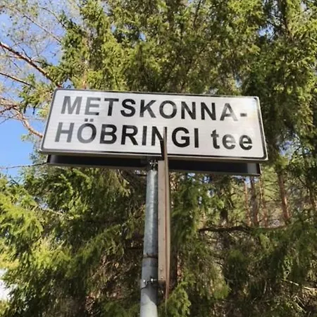 Dom wakacyjny Nya Matsas *