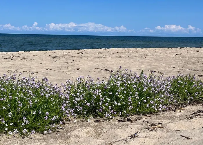 Nya Matsas Noarootsi